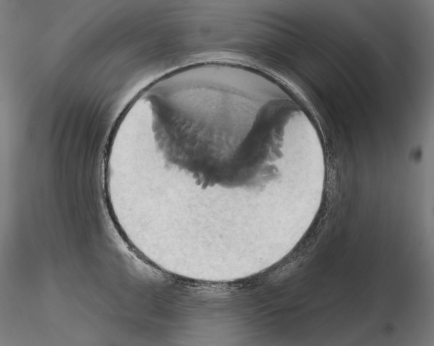 X0000115170999200912091019