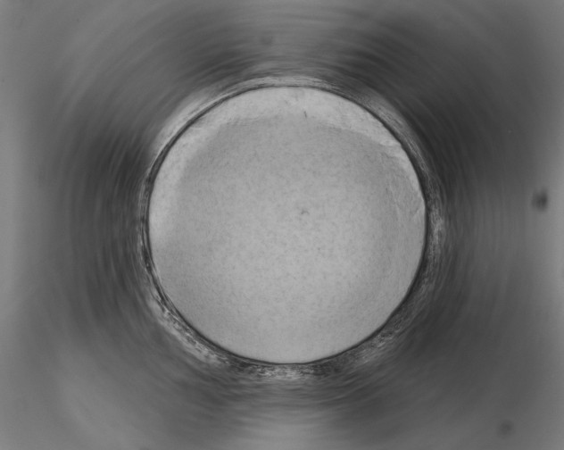 X0000115171002200912091019