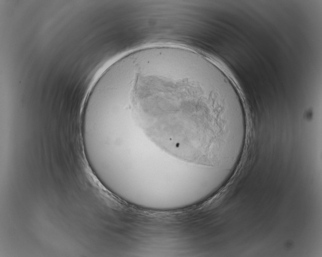 X0000115171004200912091019