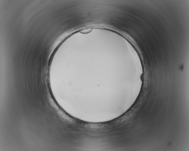 X0000115171005200912091019