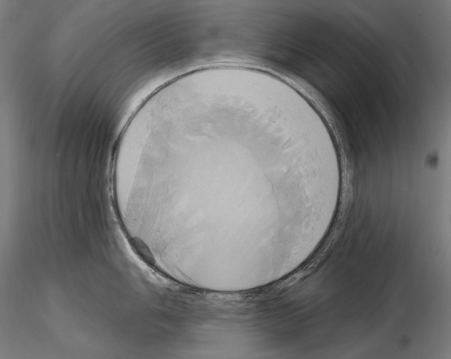 X0000115171006200912091019