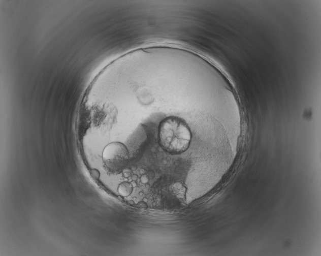 X0000115171007200912091019