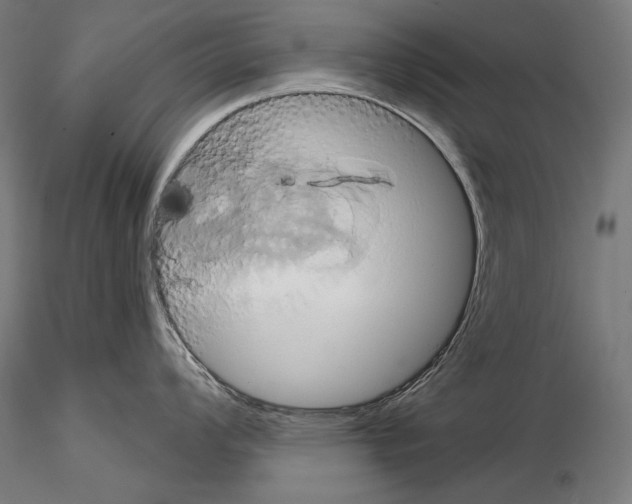 X0000115171008200912091019