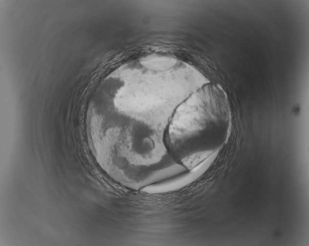 X0000115171009200912091018