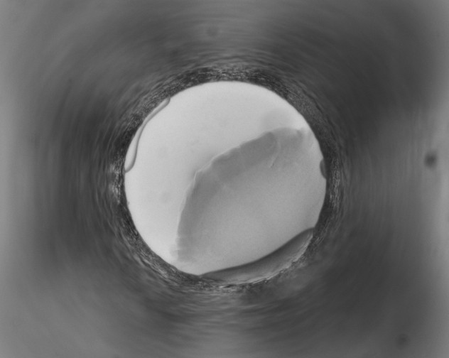 X0000115171010200912091018