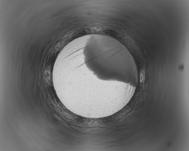 X0000115171011200912091018