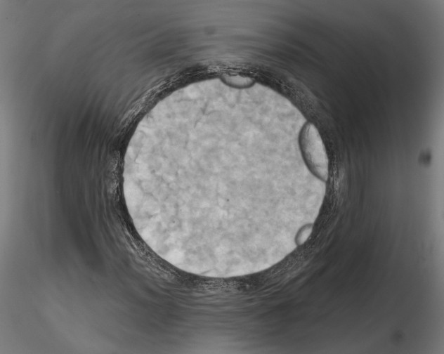 X0000115171012200912091018