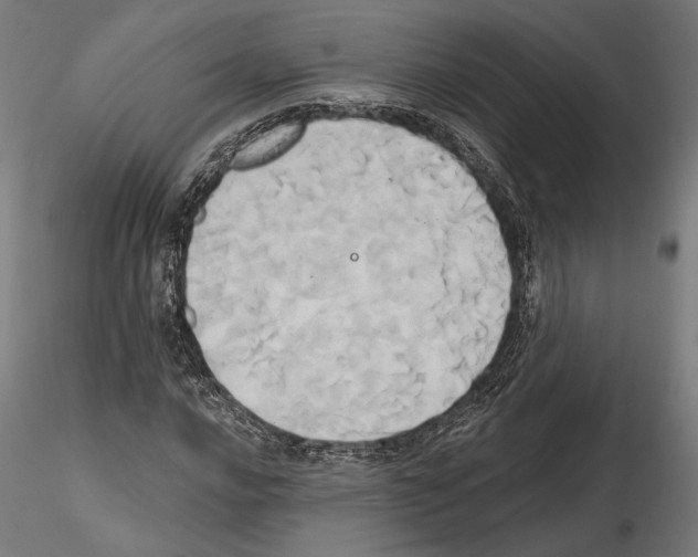 X0000115171016200912091018