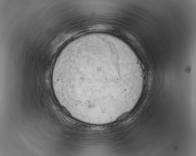 X0000115171017200912091018