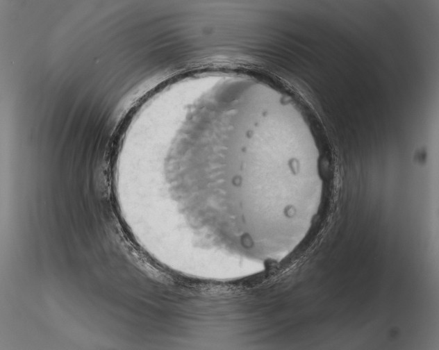 X0000115171018200912091018