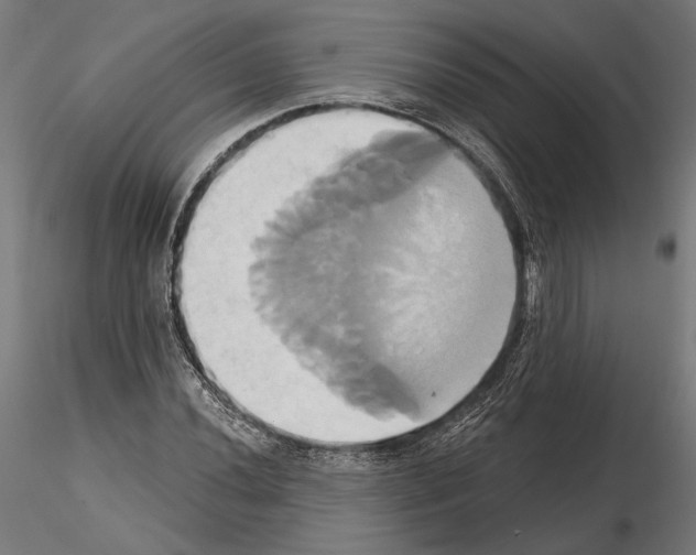 X0000115171020200912091018