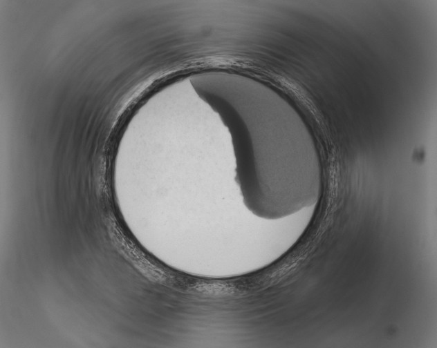 X0000115171023200912091018