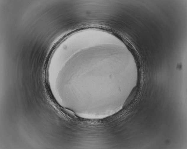 X0000115171024200912091018