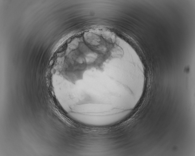 X0000115171026200912091018