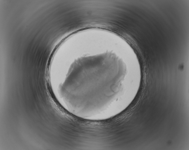 X0000115171028200912091018