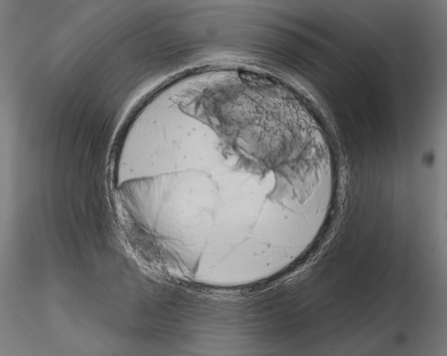 X0000115171029200912091018