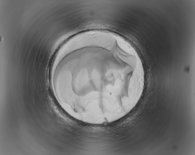 X0000115171030200912091018