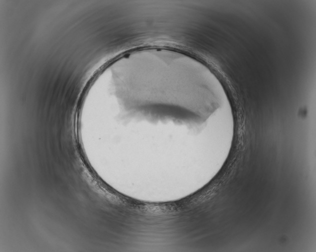 X0000115171032200912091018