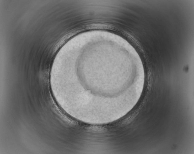 X0000115171033200912091018