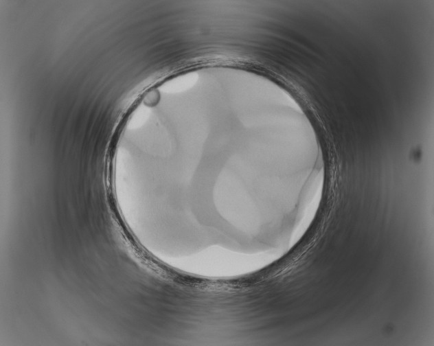 X0000115171034200912091019