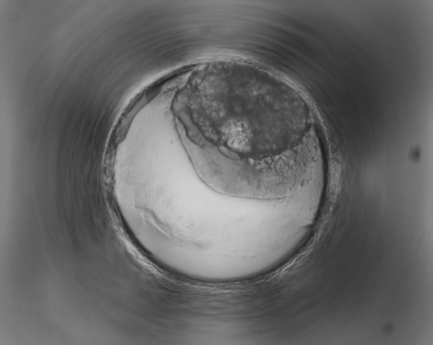 X0000115171037200912091019