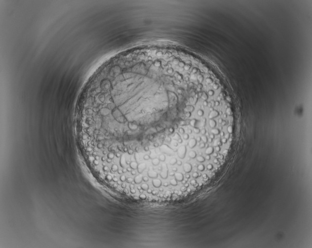 X0000115171038200912091019