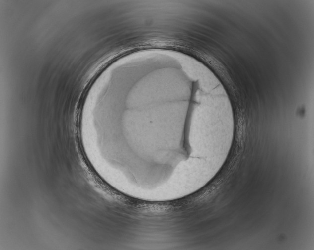 X0000115171039200912091019