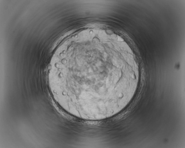 X0000115171041200912091019