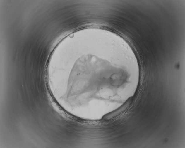 X0000115171042200912091019