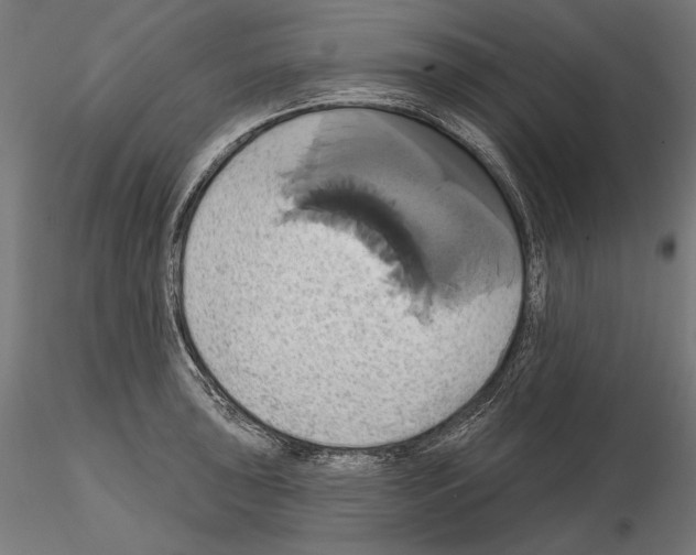 X0000115171043200912091019