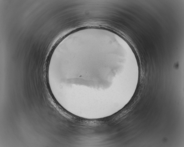 X0000115171045200912091019