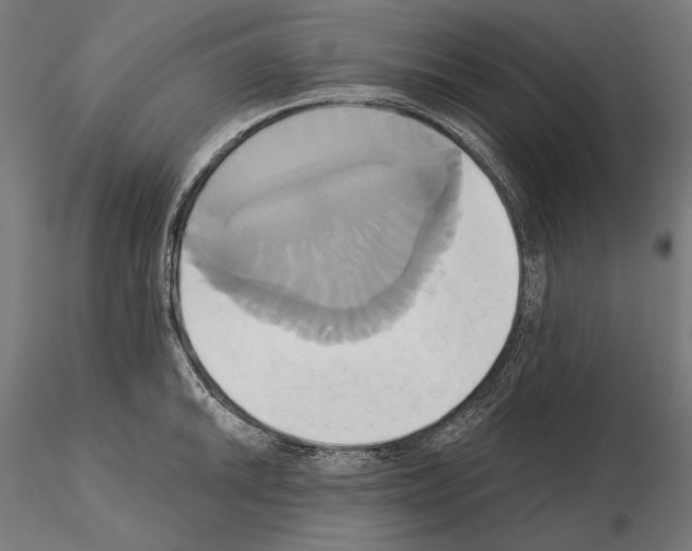 X0000115171046200912091019