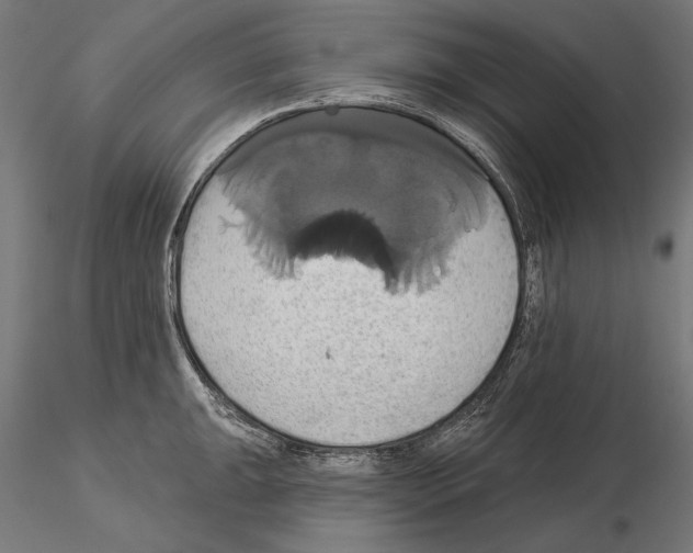 X0000115171047200912091019