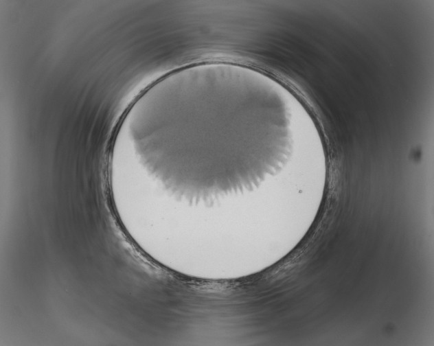 X0000115171048200912091019