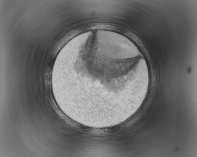 X0000115171049200912091019