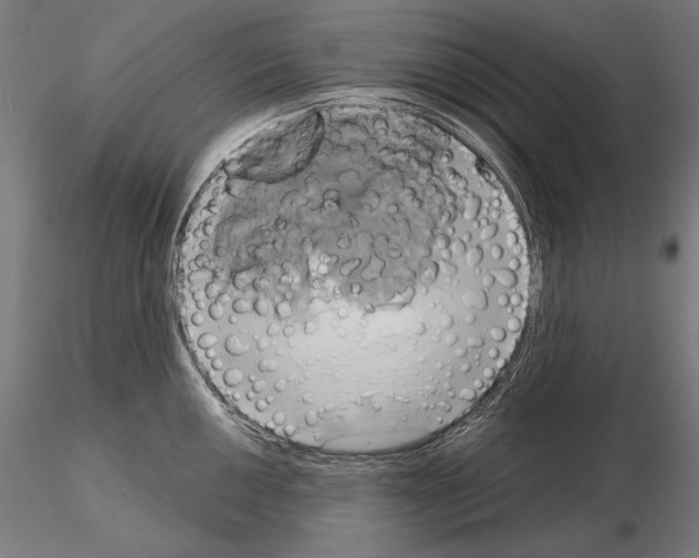 X0000115171050200912091019