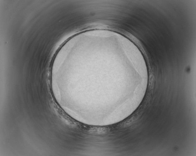 X0000115171051200912091019