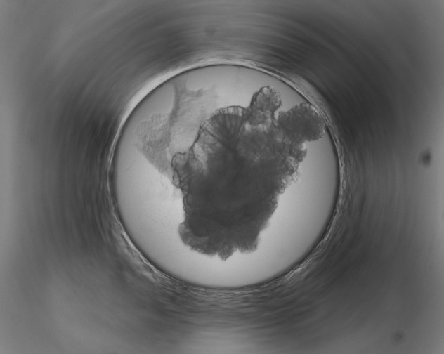 X0000115171052200912091019