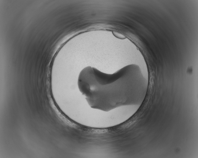 X0000115171055200912091019