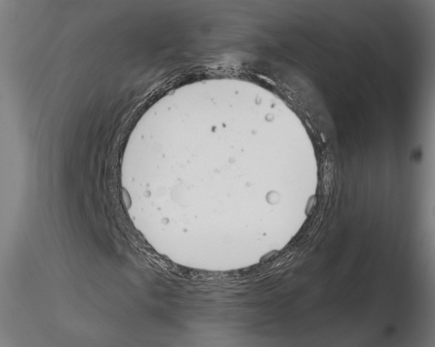 X0000115171057200912091018