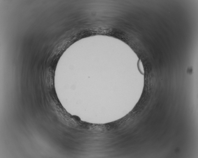 X0000115171058200912091018