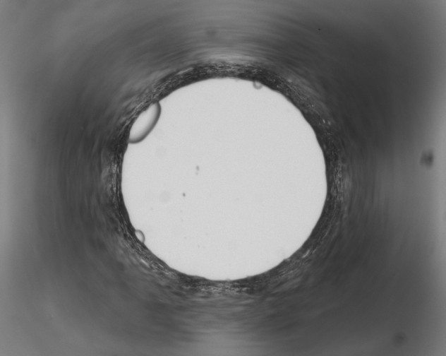 X0000115171061200912091018