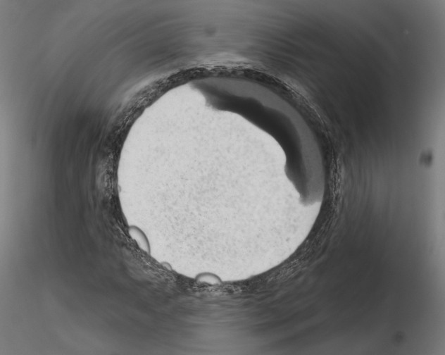 X0000115171063200912091018