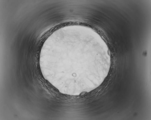 X0000115171064200912091018