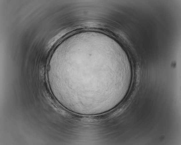 X0000115171065200912091018