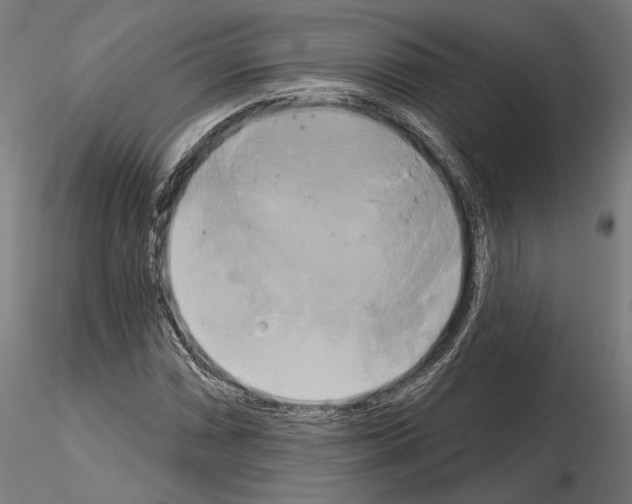 X0000115171066200912091018