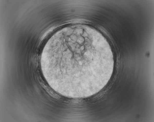 X0000115171067200912091018