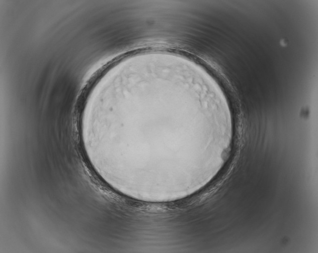 X0000115171070200912091018