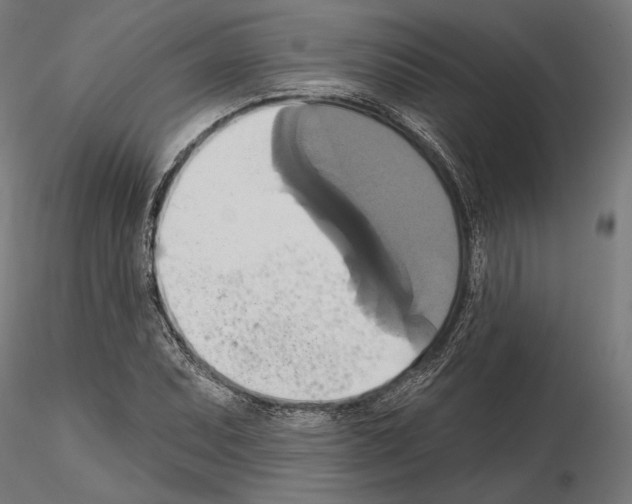 X0000115171071200912091018