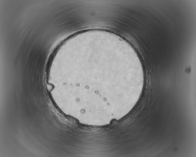 X0000115171072200912091018